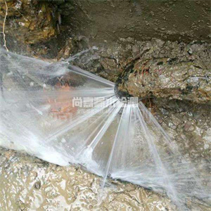 黄陂消防管道漏水检测